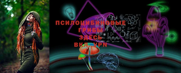 хмурый Алексеевка