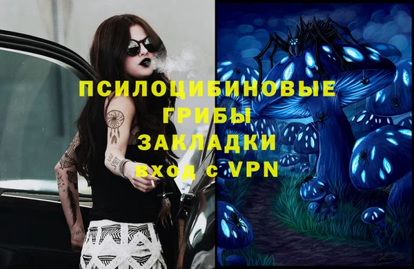 хмурый Алексеевка