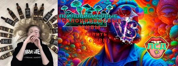 хмурый Алексеевка