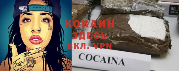 apvp Алексин